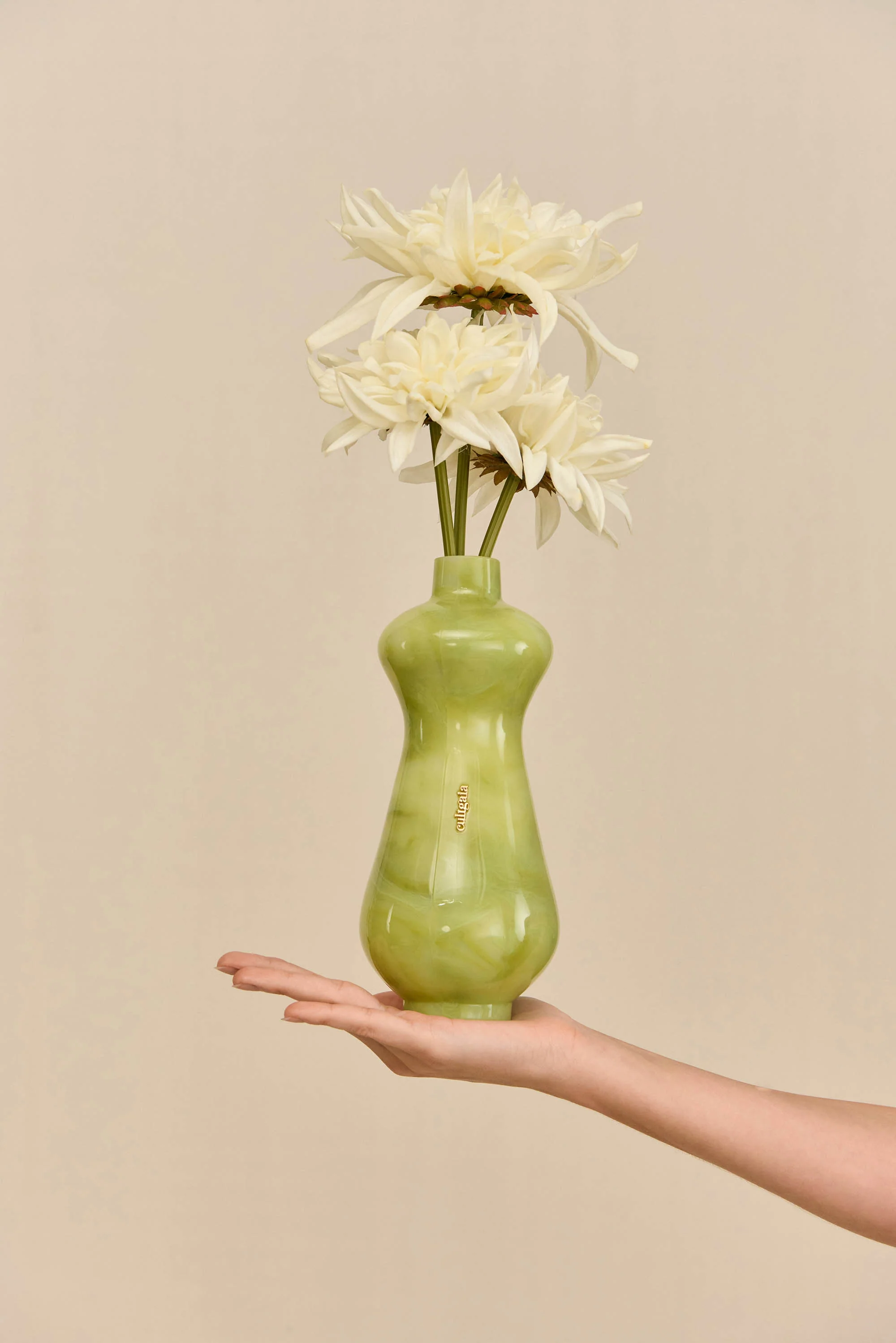 DEE DEE CLUTCH - DOMINGA - Image 2